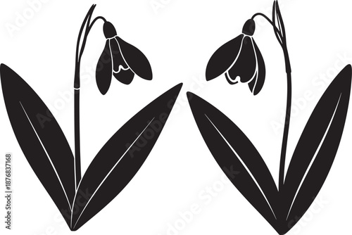 Snowdrops silhouette spring flower blossom vector