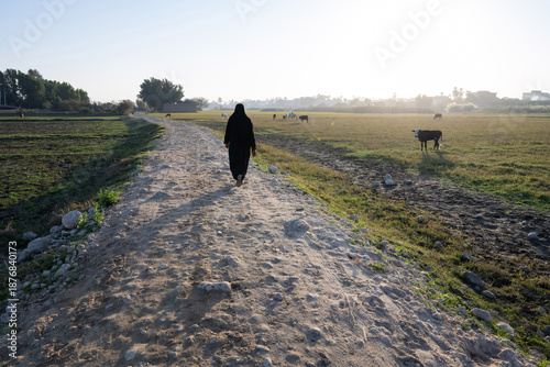 An Egyptian Muslim women walks through farmland, an alluvial floodplain being used for crops and livestock beside the River Nile in Upper Egypt.