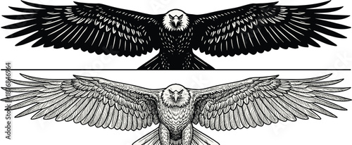 Majestic Bald Eagle Spread Wings Vector Set, Patriotic American Bird Mascot, Hand Drawn Detailed Line Art and Black Silhouette Illustration, Isolated