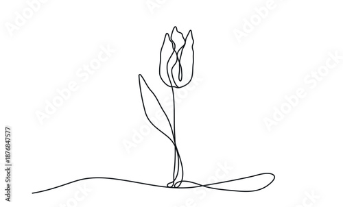 Mother's Day tulip line art with flowing continuous drawing. Elegant floral outline illustration perfect for greeting cards, posters, gifts for moms.