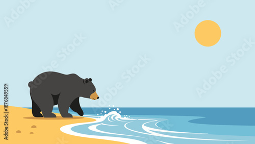 Bear On Sandy Beach Enjoying Summer Scenery Coastal Wildlife Seascape