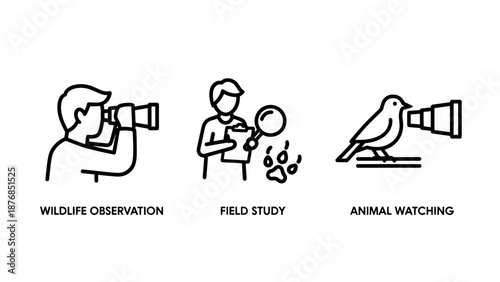 Wildlife Observation and Field Study Icons representing Bird Watching, Animal Tracking Research, and Nature Exploration Activities