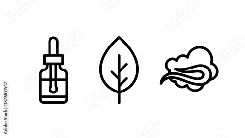 Natural Aromatherapy Icons Set with Essential Oil Dropper, Leaf and Mist Vapor Symbols