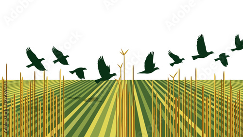 Birds Flying Above Harvested Field Symbolizing Freedom And Nature's Beauty