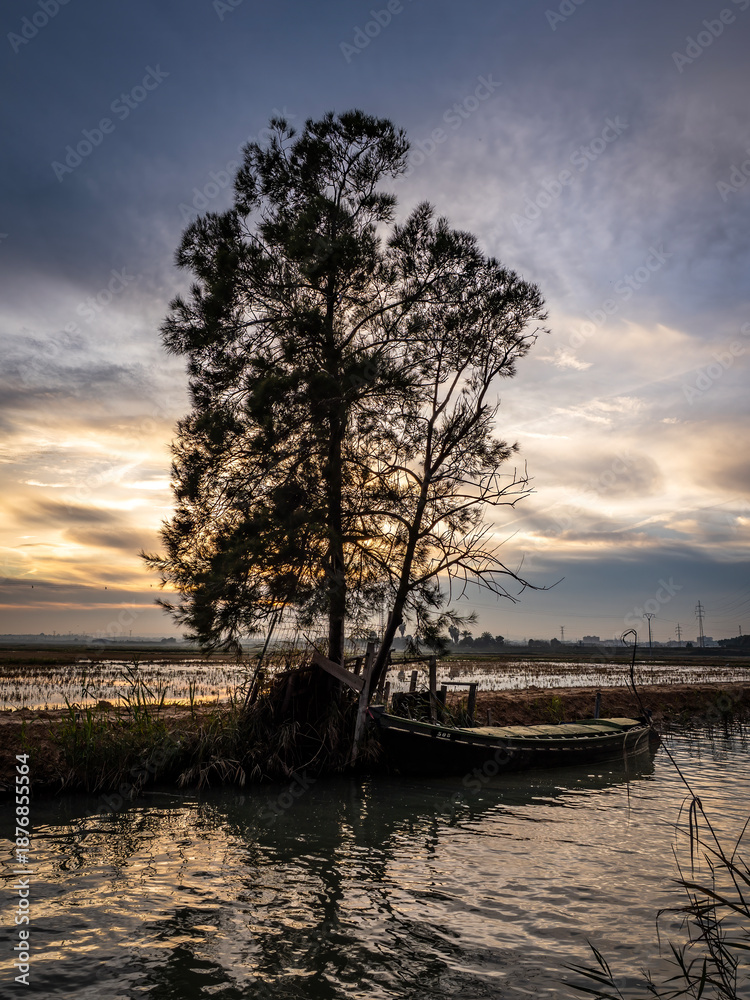 Fototapeta premium Albufera Natural Park in Valencia (Spain)