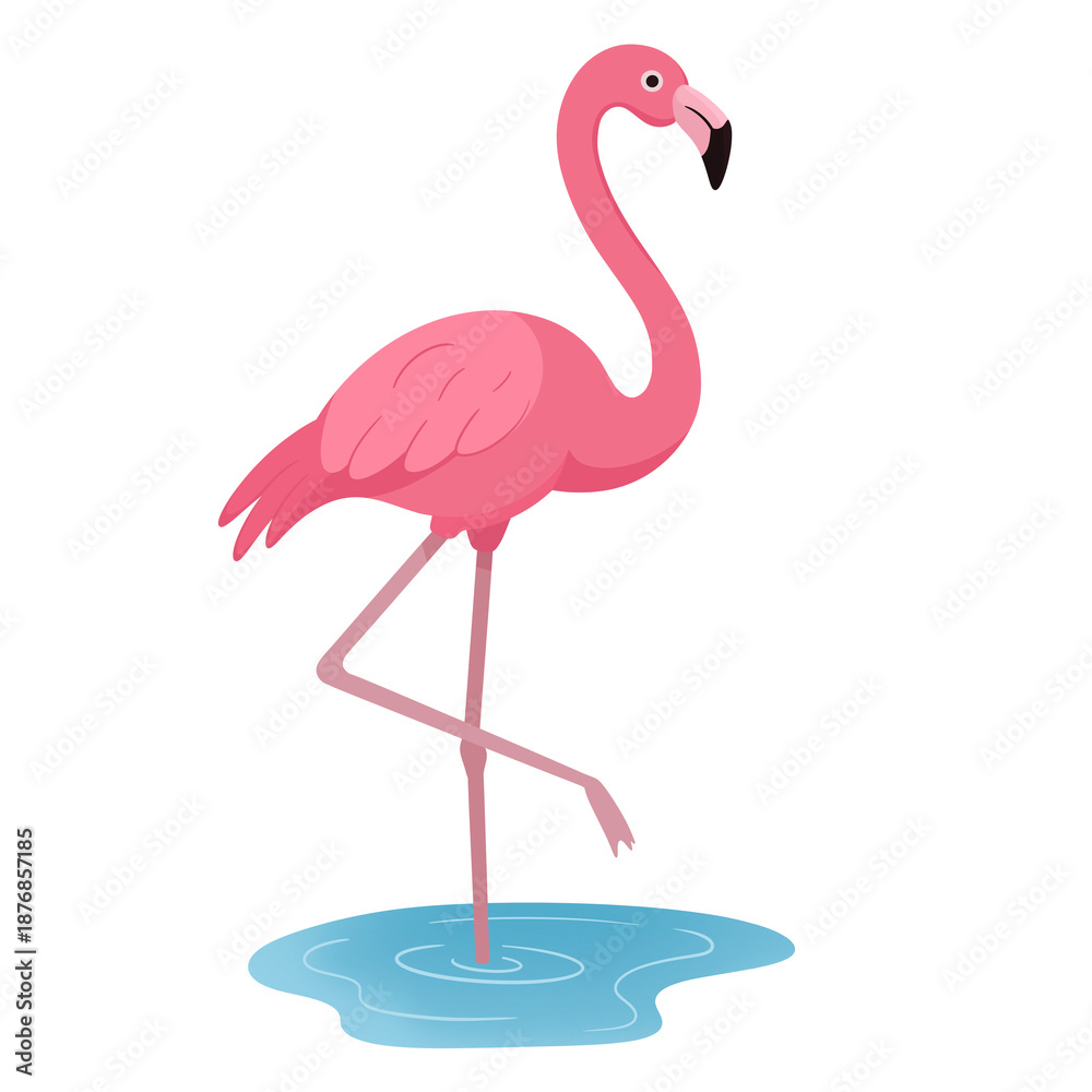 Fototapeta premium Flamingo In Water Illustration
