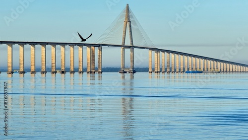 Bild auf Leinwand View of the Rio Negro Bridge spanning the Amazon River in the state of Amazonas, Brazil