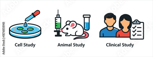Simple, understandable, and educational infographics on the three main stages of scientific research into medicines (or medical treatments), designed in a bright, flat style with cute iconography.