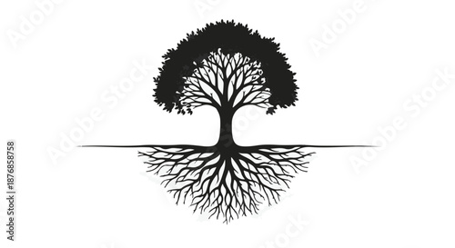 Silhouette of a strong tree with visible roots, symbolizing growth and nature's foundation.