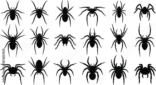 Collection of Black Spider Silhouettes Set Isolated on White Background for Halloween Design Elements, Arachnid Icons, Scary Insects, Spooky Creepy Crawly Vector Illustration Art
