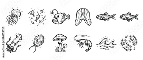 Set of hand-drawn black ink icons featuring diverse marine life, microorganisms, and nature elements in a sketchy, doodle-style illustration collection for science