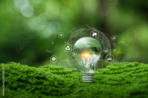 Wallpaper Mural Sustainable energy concept with light bulb on green moss, to eco innovation, renewable energy, carbon reduction, green technology, environmental protection, and future clean power solutions. Torontodigital.ca