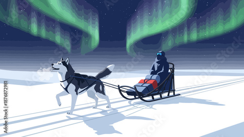Dog Sledding Adventure Under the Northern Lights Scenic Winter Landscape