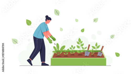 Gardener Tending To Young Plants Growing In A Raised Garden Bed Illustration