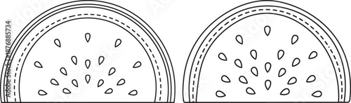 Watermelon slice summer fruit drawing