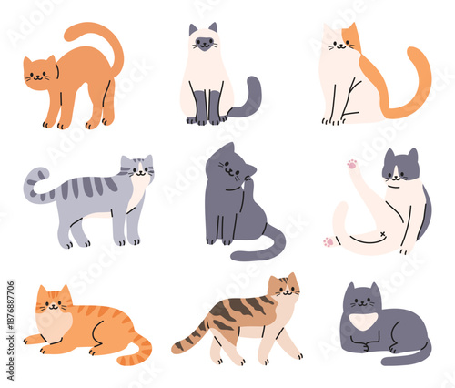 A collection of cat in different poses. Vector illustration in a flat style