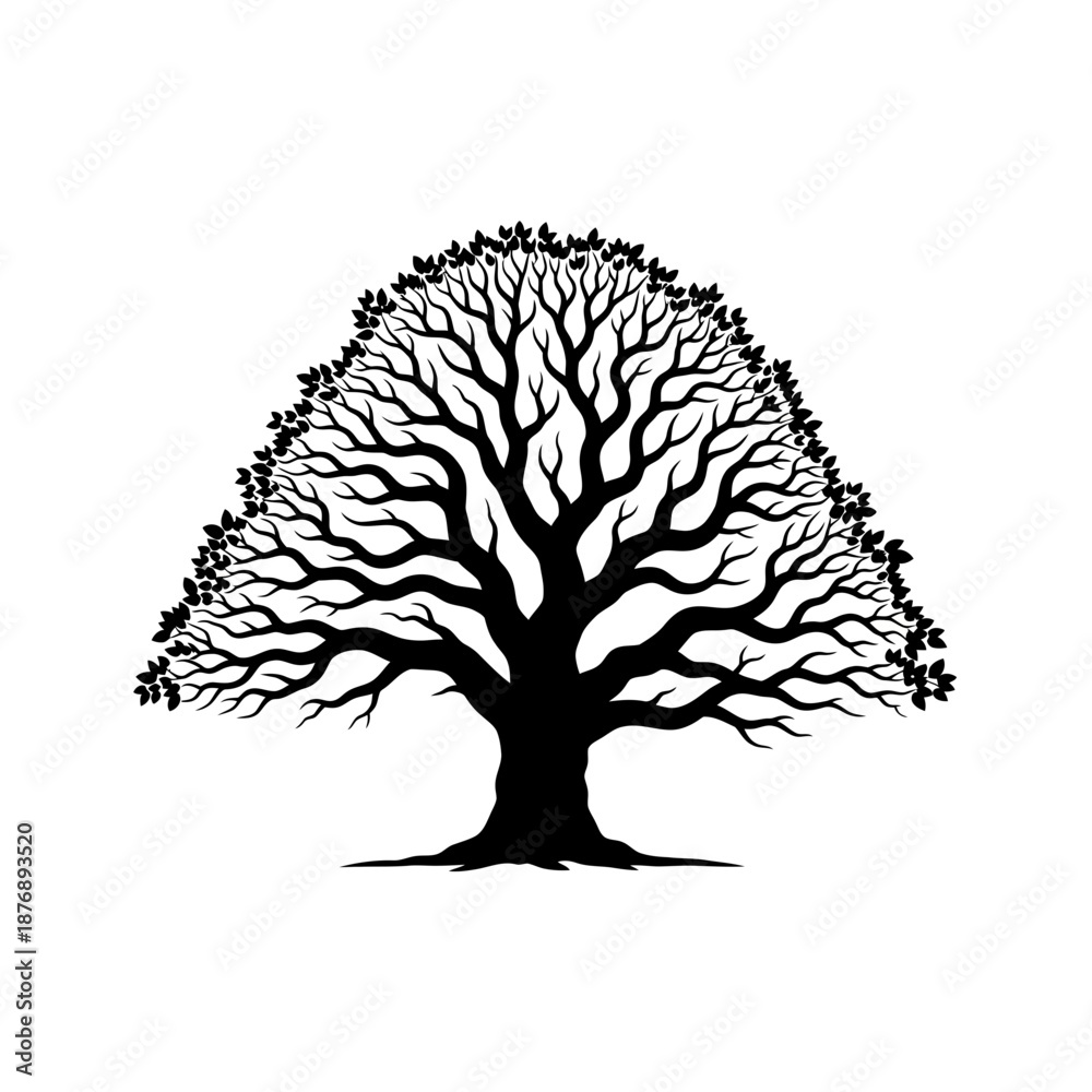Obraz premium Clean Minimalist Vector Silhouette of a Mature Gnarled Oak Tree Shape