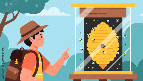 Man Discovering Honey Bees In A Glass Enclosure During An Outdoor Adventure