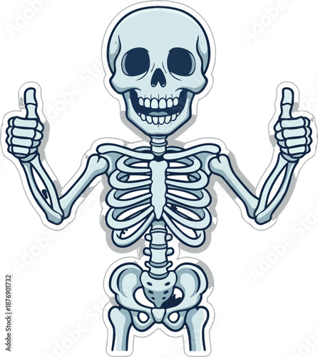 Cheerful Cartoon Skeleton Giving Double Thumbs Up Vector Illustration