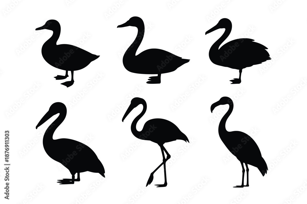 Fototapeta premium Silhouette set of various water birds including flamingo and duck