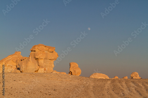 In the Egyptian Western Desert, some rocks seem shaped as humans or animals by the wind erosion. Here, typically, a sitting lion.
