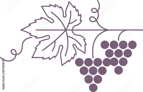 Grapevine harvest decoration with leaf and ripe fruit for winery menu, labels, and agricultural industry. Outline linear vine vector illustration
