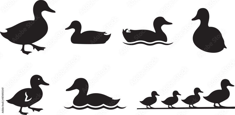 Fototapeta premium Various duck silhouettes with ducklings walking in a line
