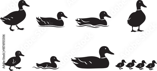 A collection of black duck silhouettes showing various poses and ages