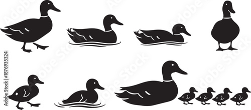 Collection of stylized duck silhouettes showing various poses and life stages