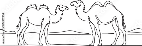 This simple vector outline features the profiles of two one-humped camels (dromedaries) in a clean, hand-drawn style. 