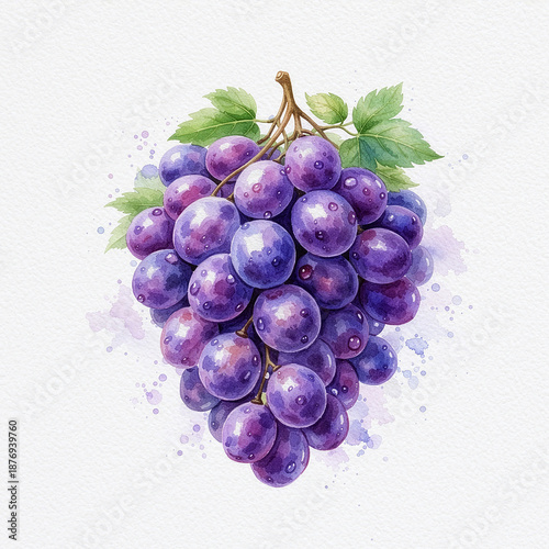 Fresh purple grapes watercolor illustration isolated on white background, natural and appetizing fruit artwork for food and beverage design.