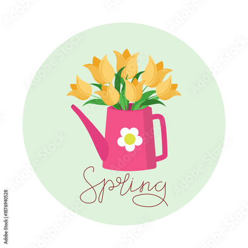 Flowers, yellow tulips in pink watering can. Calligraphic inscription, spring. International Women's Day, March 8. Flat illustration, isolated on background.