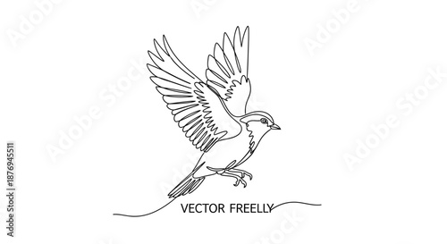 Black and White Dove Illustration in Flight.