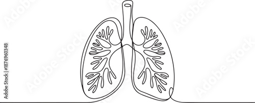 Continuous one line drawing of human lungs. One line of anatomical human lungs. one line Art icon drawing vector