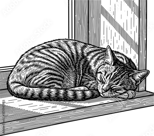 A tabby cat sleeping on a windowsill in black and white