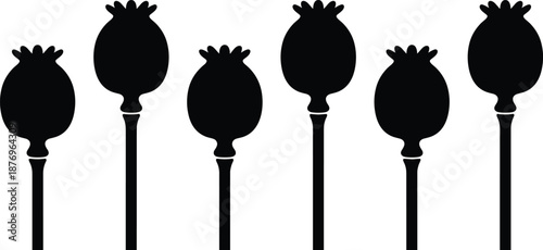 Black silhouette of dried poppy seed heads on long stems, botanical nature illustration for floral design projects, decorative graphics and seasonal artwork