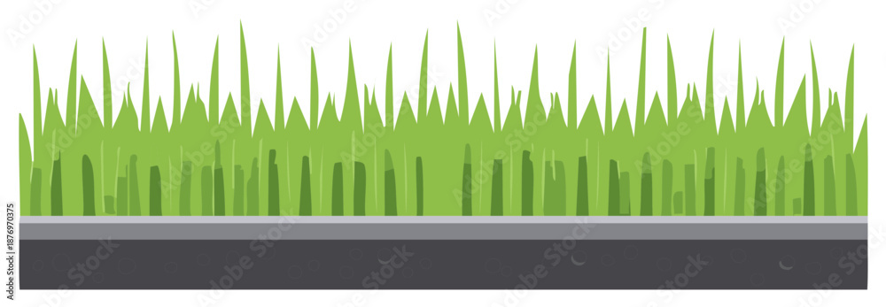 Fototapeta premium Green grass border with texture and asphalt layer below