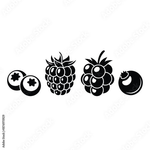 black and white illustration of various berries and fruits