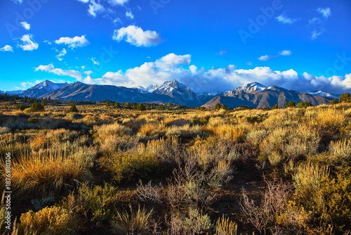 Картината върху платно Snow Capped Sierra Mountains and High Desert Grasses Under Blue Sky