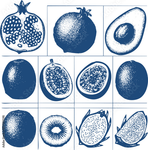 Exotic tropical fruit set stylized vector icons set with texture