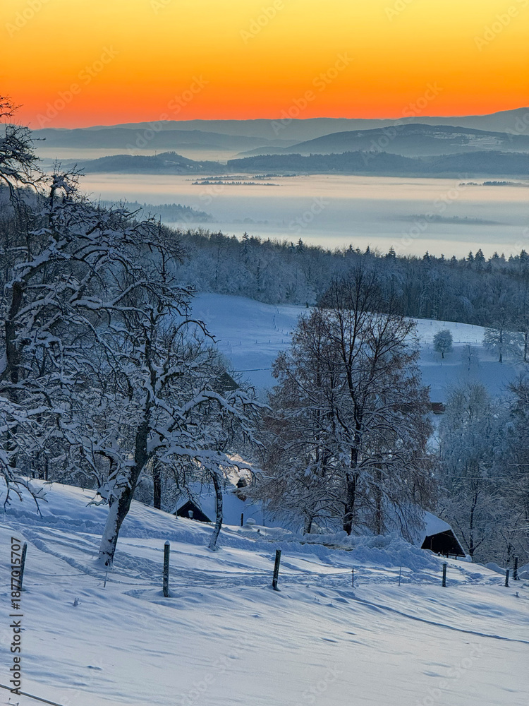 Naklejka premium Snowy hills descend into a quiet valley wrapped in soft mist as the sun rises. Warm colours on the horizon contrast with cool winter blues. Peaceful rural landscape reminiscent of a winter fairy tale.