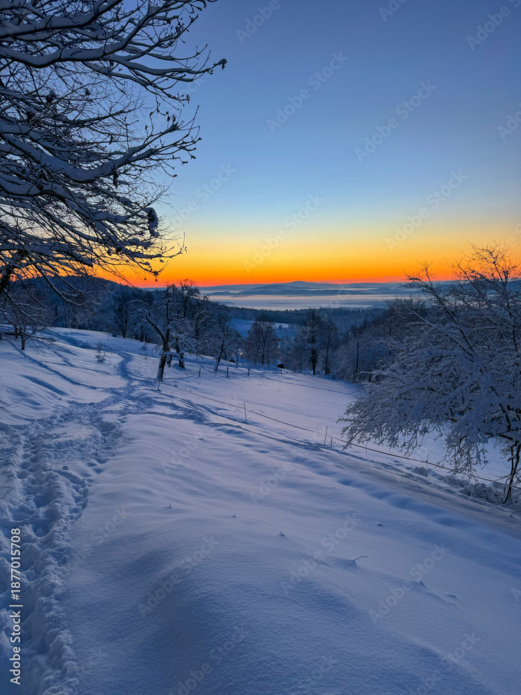 Fototapeta premium Narrow path winds through freshly fallen snow past snowy trees towards a glowing winter sunset. A peaceful rural evening, full of fresh air and quiet beauty. Winter wonderland in the countryside.