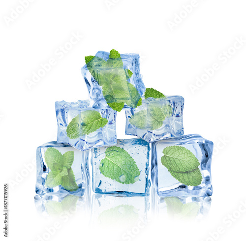 Fresh mint leaves in ice cubes isolated on white