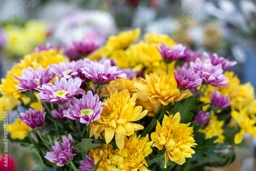 Yellow and purple chrysanthemum bouquet on soft blurred background. Close-up floral composition. #1877025368