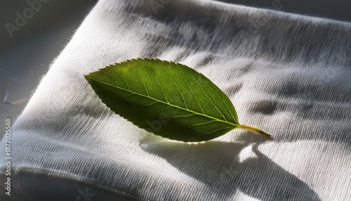 A Small Leaf Lies On A Folded White Cloth Illuminated By Soft Light From An Unseen Source Viewed From Above