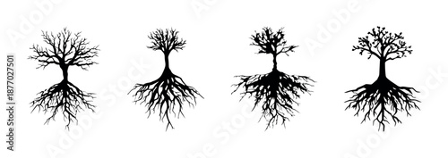 Tree root silhouette set vector isolated on transparent background black forest plant organic nature shape life symbol ecology botanical growth branching natural graphic element grounded collection