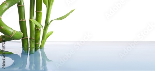 Bamboo branches in water on...