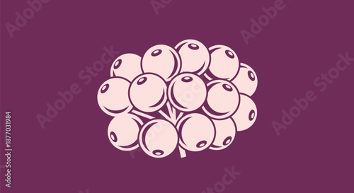 A stylized illustration of a cluster of white grapes on a purple background