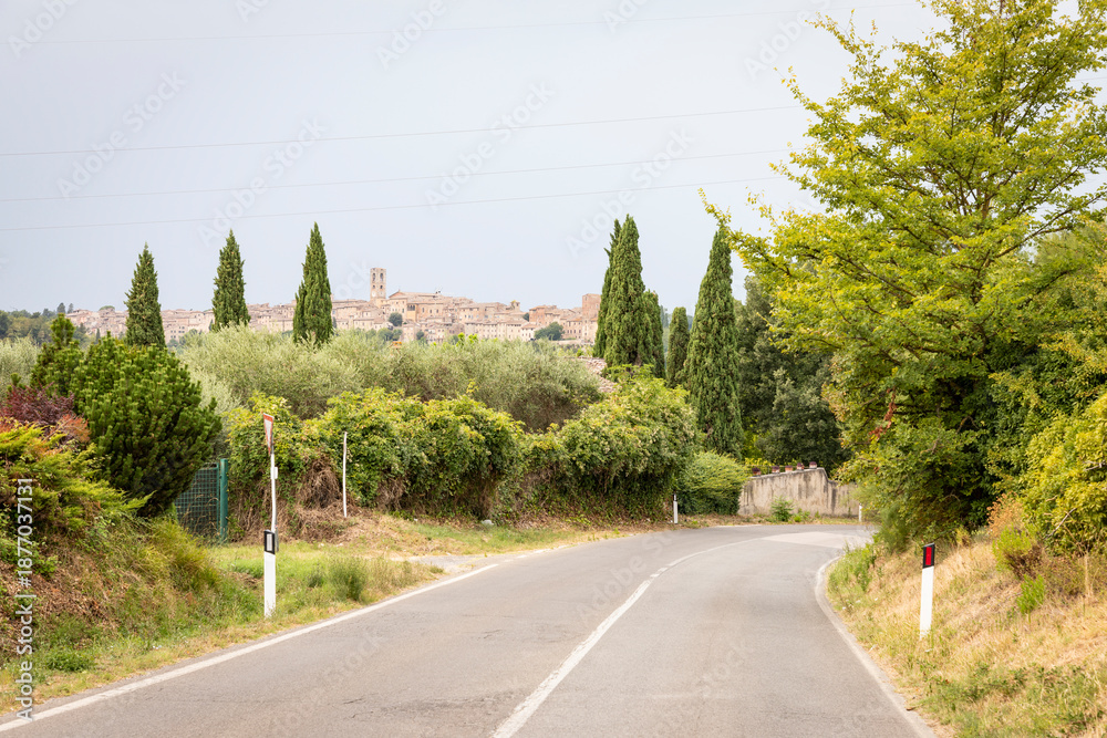 Fototapeta premium Paved road on a green landscape with a view to Colle di Val d'Elsa, province of Siena, Tuscany, Italy