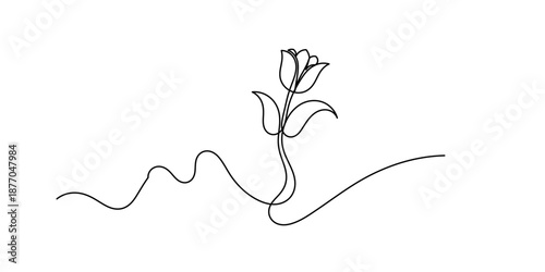 Hand drawn sketch of flower with leaves. Tulip one line drawing.Abstract flower continuous line. Minimalist contour drawing of tulip. Continuous line drawing of flower tulip.